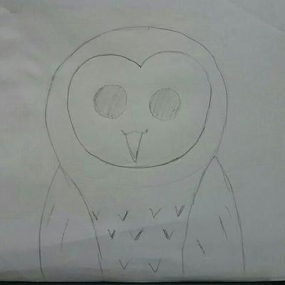 stupid_owlのアイコン